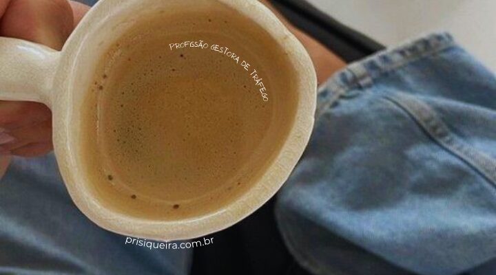 Profissão Gestora de Tráfego Ana Neves Vale a Pena? Review Completa do Curso e Análise Atualizada